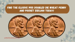 Find the Elusive 1955 Doubled Die Wheat Penny and Pocket $125,000 Today!